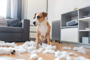 Pet-Friendly Cleaning Tips: Keeping Your Home Fresh with Furry Friends