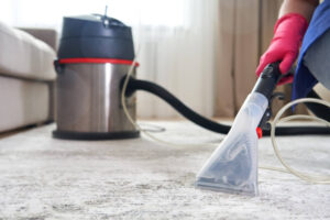 From Dingy to Delightful: Transform Your Home with Professional Carpet Cleaning
